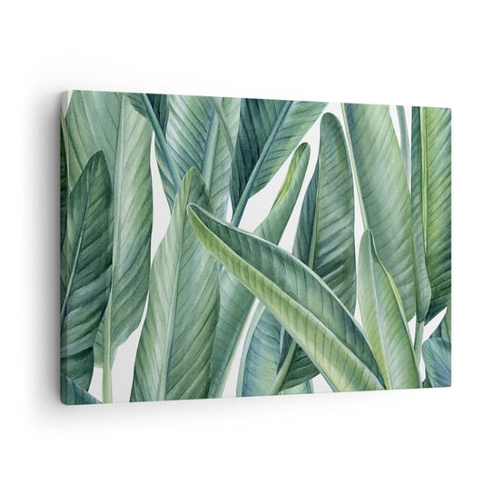 Obraz na płótnie - Zieleń sama w sobie - 70x50cm - Zielone Liście Roślina Tropikalna Natura - Nowoczesny Canvas obraz do salonu do sypialni ARTTOR ARTTOR