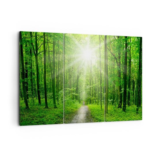 Obraz na płótnie - Zielona katedra - 105x70 cm - Obraz nowoczesny - Krajobraz, Las, Promienie Słońca, Natura, Leśna Ścieżka - CE105x70-2689 ARTTOR