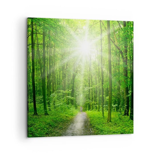 Obraz na płótnie - Zielona katedra - 50x50 cm - Obraz nowoczesny - Krajobraz, Las, Promienie Słońca, Natura, Leśna Ścieżka - AC50x50-2689 ARTTOR