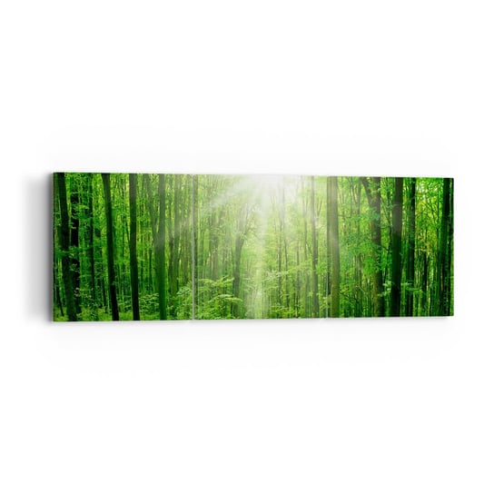 Obraz na płótnie - Zielona katedra - 90x30 cm - Obraz nowoczesny - Krajobraz, Las, Promienie Słońca, Natura, Leśna Ścieżka - CA90x30-2689 ARTTOR