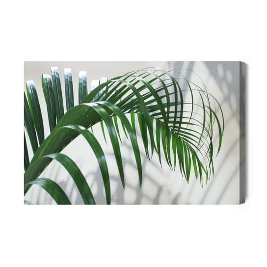Obraz Na Płótnie Zielony Liść Palmowy Z Efektem 3D 70x50 Inna marka