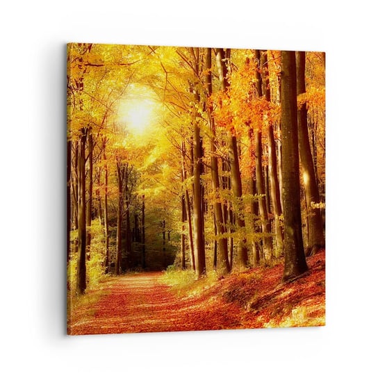 Obraz na płótnie - Złota jesień na leśnej drodze - 60x60 cm - Obraz nowoczesny - Jesień, Las, Krajobraz, Drzewa, Liście - AC60x60-0171 ARTTOR