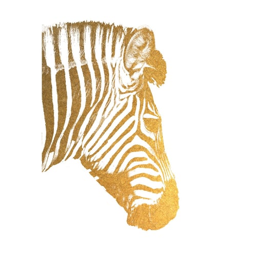 Obraz na płótnie: Złota zebra, 100x70 cm Art-Canvas