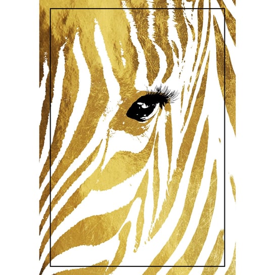 Obraz na płótnie: Złota zebra, 50x70 cm Art-Canvas