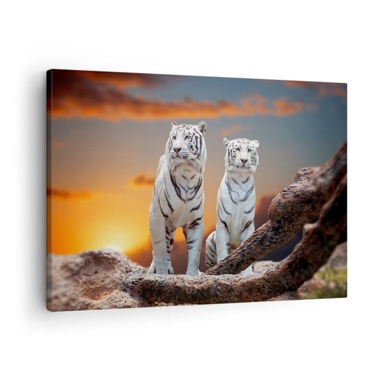 Obraz na płótnie - Zupełnie jak w Narni - 70x50cm - Zwierzęta Tygrys Zachód Słońca - Nowoczesny Canvas obraz do salonu do sypialni ARTTOR ARTTOR