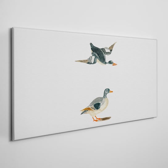 Obraz Na Płótnie Zwierzęta ptaki kaczki 100x50 cm Coloray