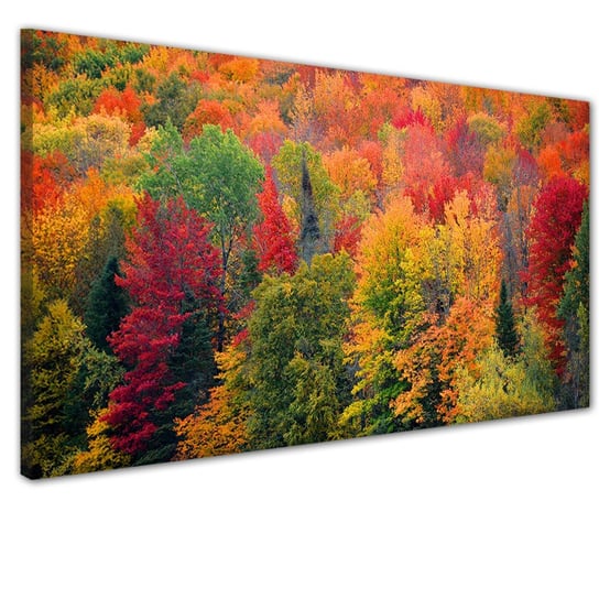 Obraz na ramie płótno canvas- Jesień w lesie 41316 Naklejkomania