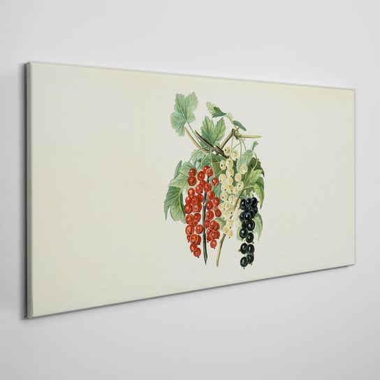 Obraz na ramie płótno Owoce gałąź liście 100x50 cm Coloray