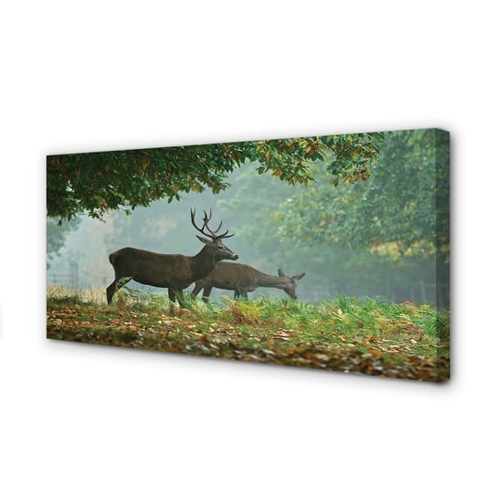 Obraz na ramie płótno TULUP Jeleń las jesień 120x60 cm cm Tulup
