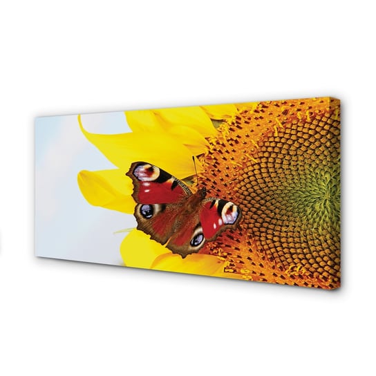 Obraz na ramie płótno TULUP Słonecznik motyl 120x60 cm cm Tulup