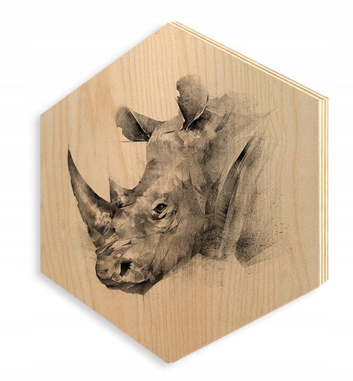 Obraz na sklejce drewno HEKSAGON 30x35cm SP551 e-druk