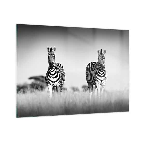 Obraz na szkle - A jednak świat jest czarno-biały - 100x70cm - Zwierzęta Zebra Czarno-Biały - Nowoczesny foto szklany obraz do salonu do sypialni ARTTOR ARTTOR
