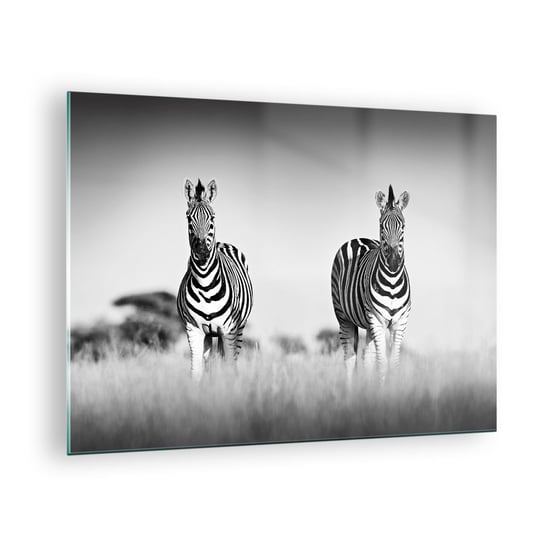 Obraz na szkle - A jednak świat jest czarno-biały - 70x50cm - Zwierzęta Zebra Czarno-Biały - Nowoczesny szklany obraz do salonu do sypialni ARTTOR ARTTOR