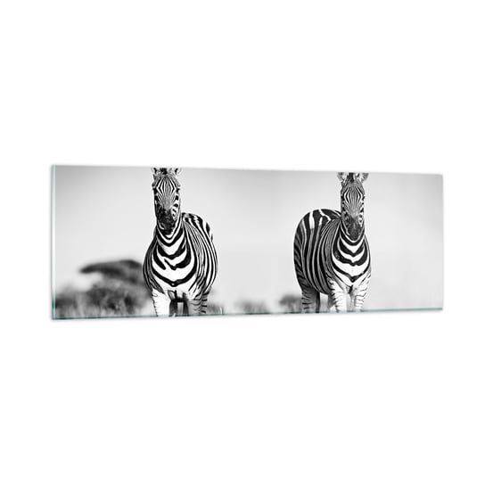 Obraz na szkle - A jednak świat jest czarno-biały - 90x30cm - Zwierzęta Zebra Czarno-Biały - Nowoczesny szklany obraz do salonu do sypialni ARTTOR ARTTOR