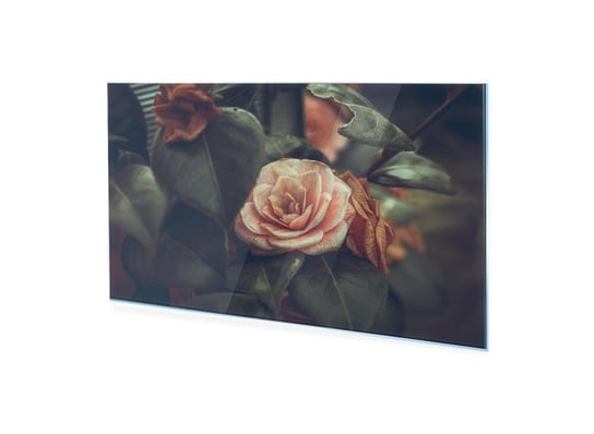 Obraz Na Szkle Akrylowym Homeprint Angielskie Róże 120X60 Cm HOMEPRINT