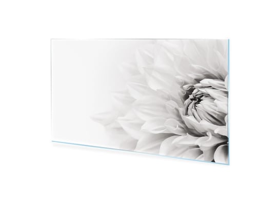 Obraz na szkle akrylowym HOMEPRINT Biały kwiat kwitnącej dali 100x50 cm HOMEPRINT