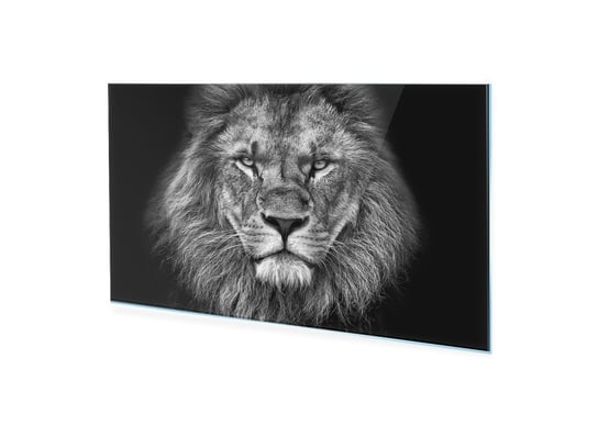 Obraz na szkle akrylowym HOMEPRINT Czarno-biała twarz lwa 120x60 cm HOMEPRINT