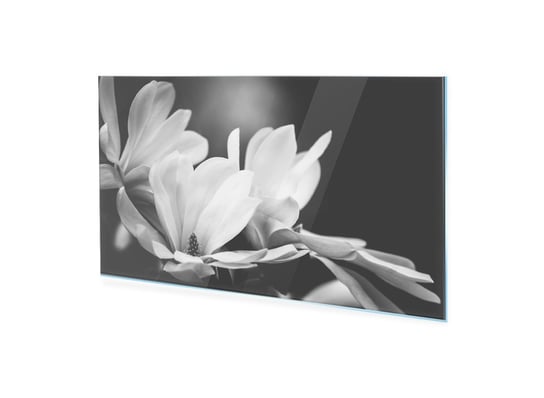 Obraz na szkle akrylowym HOMEPRINT Czarno biały kwiat magnolii 120x60 cm HOMEPRINT