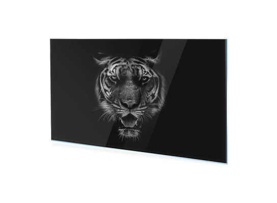 Obraz na szkle akrylowym HOMEPRINT Czarno-biały tygrys 100x50 cm HOMEPRINT