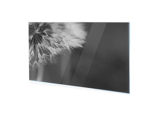 Obraz na szkle akrylowym HOMEPRINT Czarnobiałe ujęcie dmuchawca 100x50 cm HOMEPRINT