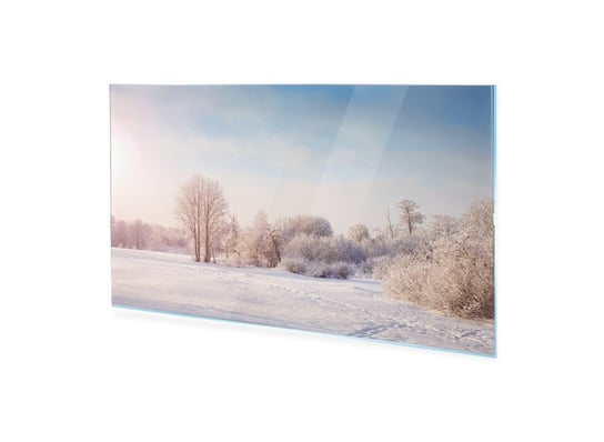 Obraz na szkle akrylowym HOMEPRINT Drzewa w zimowym krajobrazie 100x50 cm HOMEPRINT