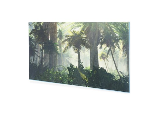 Obraz na szkle akrylowym HOMEPRINT Dżungla o poranku we mgle 140x70 cm HOMEPRINT
