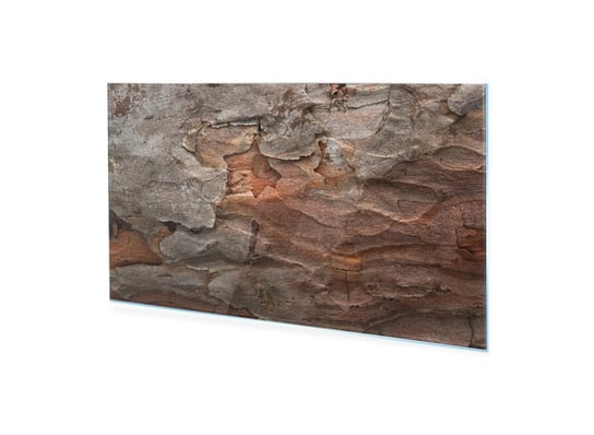 Obraz na szkle akrylowym HOMEPRINT Kolorowa sosnowa kora 100x50 cm HOMEPRINT