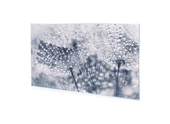 Obraz na szkle akrylowym HOMEPRINT Nasiona z kroplami wody 100x50 cm HOMEPRINT