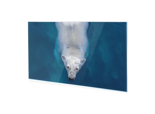 Obraz na szkle akrylowym HOMEPRINT Pływający niedźwiedź polarny 140x70 cm HOMEPRINT