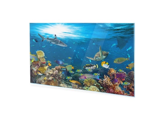 Obraz na szkle akrylowym HOMEPRINT Rafa koralowa, podwodny raj 100x50 cm HOMEPRINT