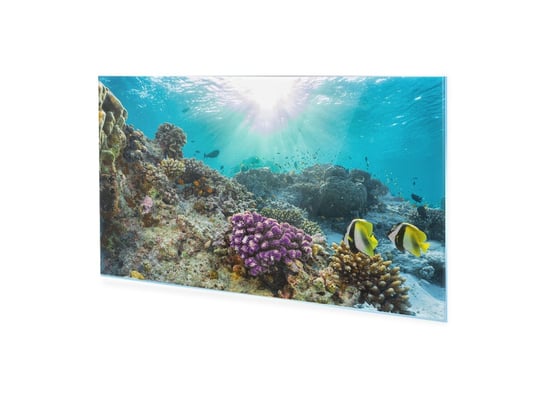 Obraz Na Szkle Akrylowym Homeprint Rafa Koralowa Z Rybami 120X60 Cm HOMEPRINT