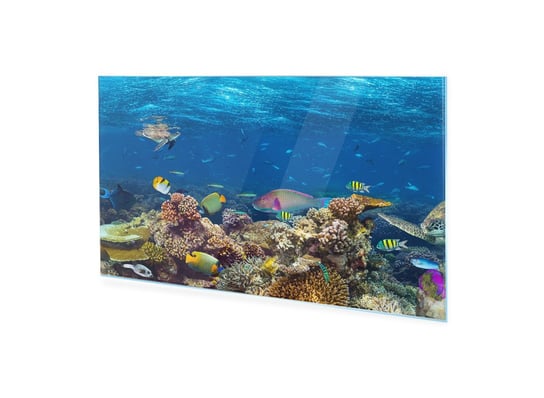 Obraz Na Szkle Akrylowym Homeprint Rafy Koralowa, Ryby, Żółw 120X60 Cm HOMEPRINT