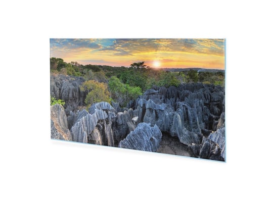 Obraz Na Szkle Akrylowym Homeprint Rezerwat Na Madagaskarze 100X50 Cm HOMEPRINT