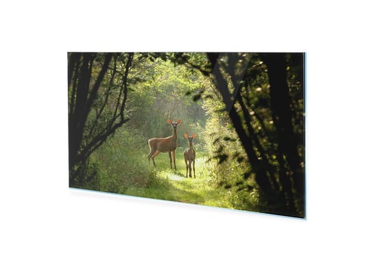 Obraz na szkle akrylowym HOMEPRINT Sarny na naturalnym szlaku 125x50 cm HOMEPRINT