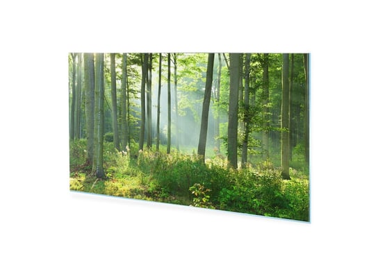 Obraz na szkle akrylowym HOMEPRINT Słoneczny poranek w lesie 100x50 cm HOMEPRINT