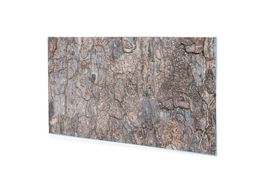 Obraz Na Szkle Akrylowym Homeprint Stara Tekstura Kory Drzewa 100X50 Cm HOMEPRINT