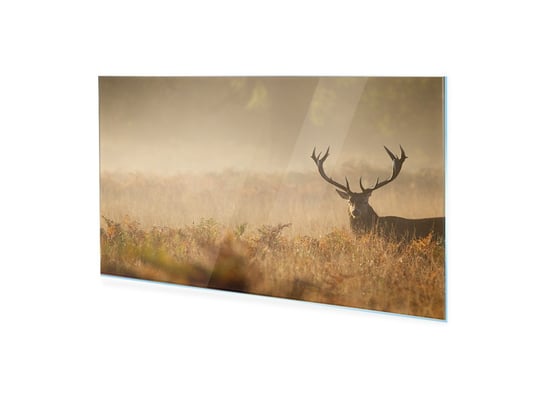 Obraz na szkle akrylowym HOMEPRINT Sylwetka jelenia we mgle 125x50 cm HOMEPRINT
