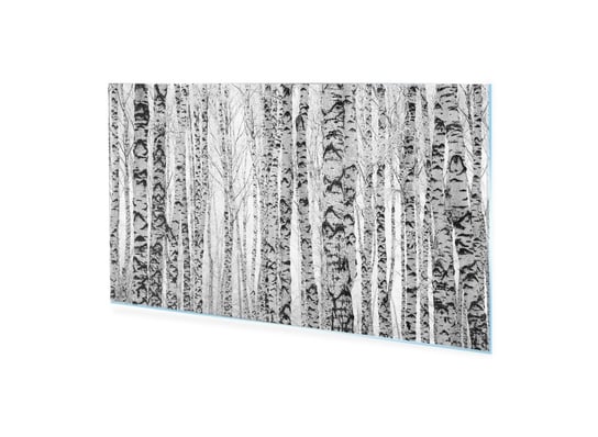 Obraz na szkle akrylowym HOMEPRINT Zimowe pnie brzóz 100x50 cm HOMEPRINT