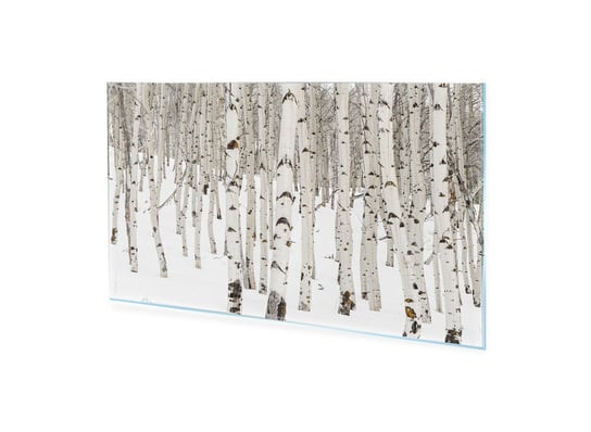 Obraz na szkle akrylowym HOMEPRINT Zimowy las brzozowy 100x50 cm HOMEPRINT
