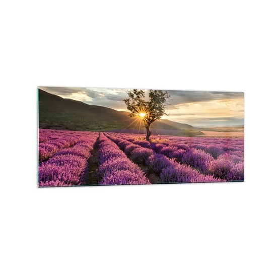Obraz na szkle - Aromat w kolorze lila - 120x50cm - Krajobraz Lawenda Prowansja - Nowoczesny szklany obraz na ścianę do salonu do sypialni ARTTOR ARTTOR
