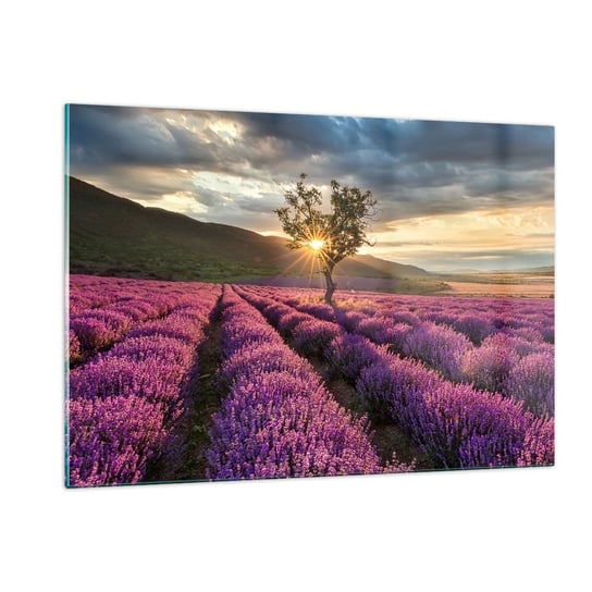 Obraz na szkle - Aromat w kolorze lila - 120x80cm - Krajobraz Lawenda Prowansja - Nowoczesny szklany obraz na ścianę do salonu do sypialni ARTTOR ARTTOR