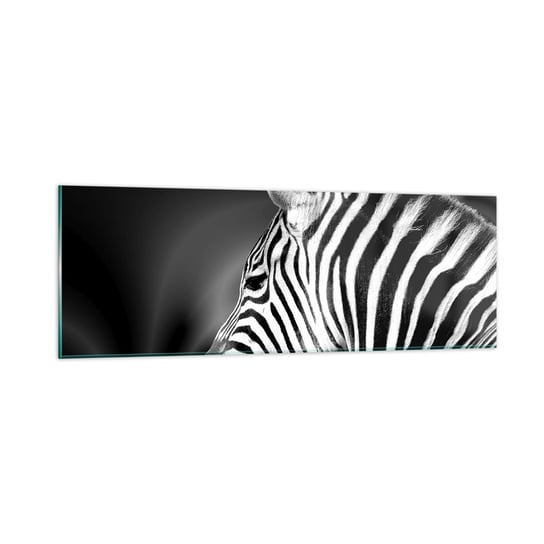 Obraz na szkle - Białe jest białe, a czarne jest czarne - 90x30cm - Zebra Czarno-Biały Zwierzęta - Nowoczesny szklany obraz do salonu do sypialni ARTTOR ARTTOR