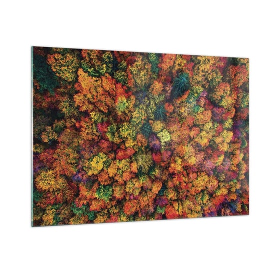 Obraz na szkle - Bukiet jesiennych drzew - 100x70cm - Krajobraz Las Drzewa - Nowoczesny foto szklany obraz do salonu do sypialni ARTTOR ARTTOR