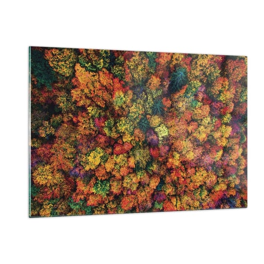 Obraz na szkle - Bukiet jesiennych drzew - 120x80cm - Krajobraz Las Drzewa - Nowoczesny szklany obraz na ścianę do salonu do sypialni ARTTOR ARTTOR