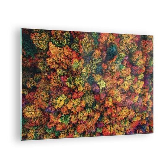 Obraz na szkle - Bukiet jesiennych drzew - 70x50cm - Krajobraz Las Drzewa - Nowoczesny szklany obraz do salonu do sypialni ARTTOR ARTTOR