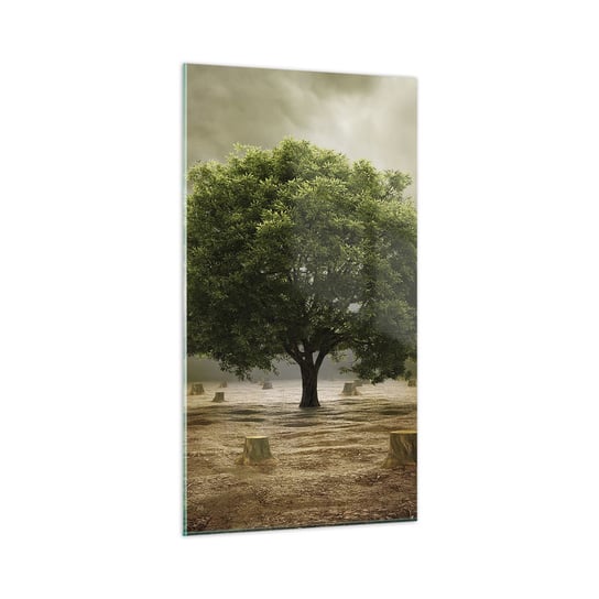 Obraz na szkle - Cała nadzieja - 45x80 cm - Obraz nowoczesny - Krajobraz, Natura, Drzewo, Chmury, Pnie Drzew - GPA45x80-2727 ARTTOR