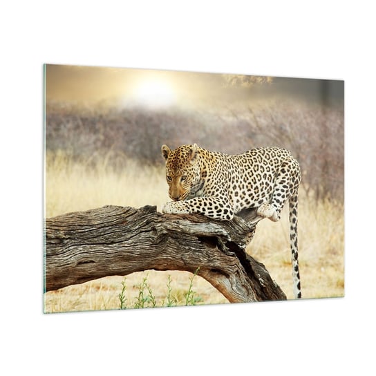 Obraz na szkle - Chadzam własnymi drogami - 100x70cm - Zwierzęta Lampart Afryka - Nowoczesny foto szklany obraz do salonu do sypialni ARTTOR ARTTOR