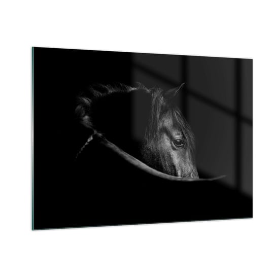 Obraz na szkle - Czarny książę - 100x70cm - Koń Zwierzę Artystyczny - Nowoczesny foto szklany obraz do salonu do sypialni ARTTOR ARTTOR
