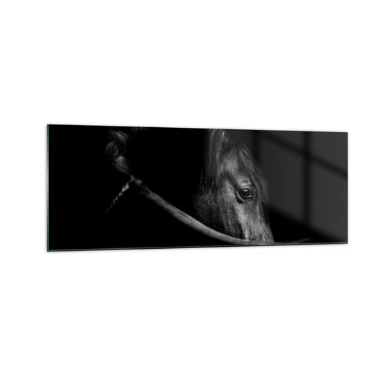 Obraz na szkle - Czarny książę - 140x50cm - Koń Zwierzę Artystyczny - Nowoczesny szklany obraz do salonu do sypialni ARTTOR ARTTOR