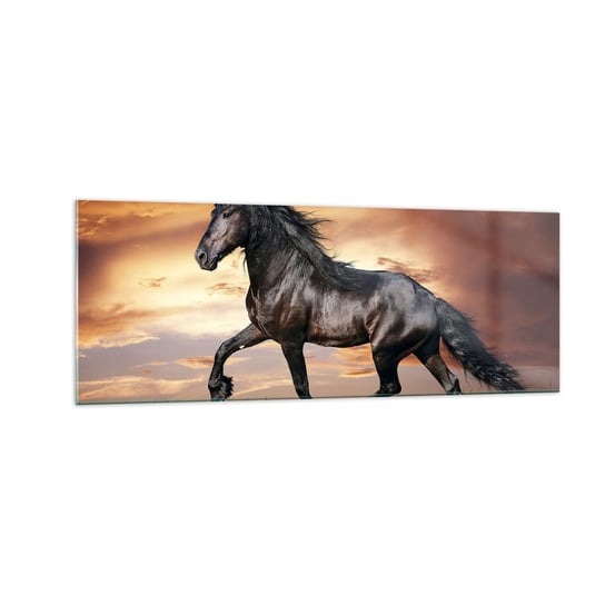 Obraz na szkle - Czarny książę - 140x50cm - Zwierzęta Koń Arabski Krajobraz - Nowoczesny szklany obraz do salonu do sypialni ARTTOR ARTTOR